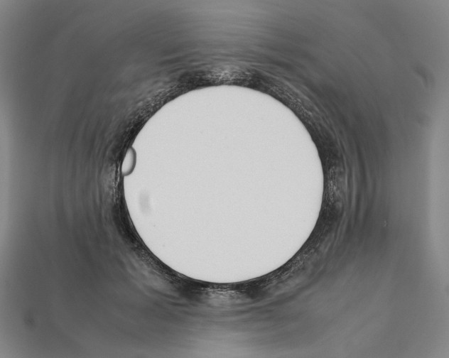 X0000112210605200909181555