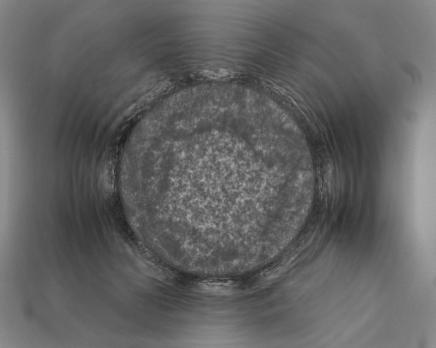 X0000112210606200909181555
