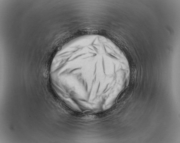 X0000112210609200909181555
