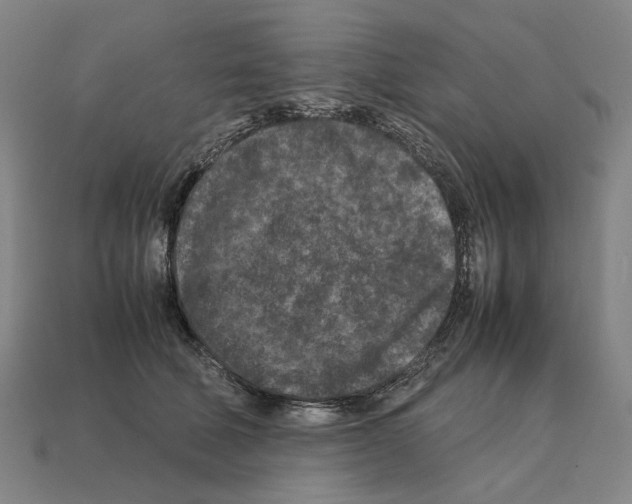 X0000112210610200909181555