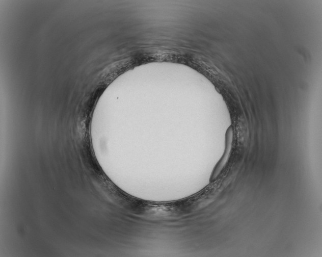 X0000112210611200909181555