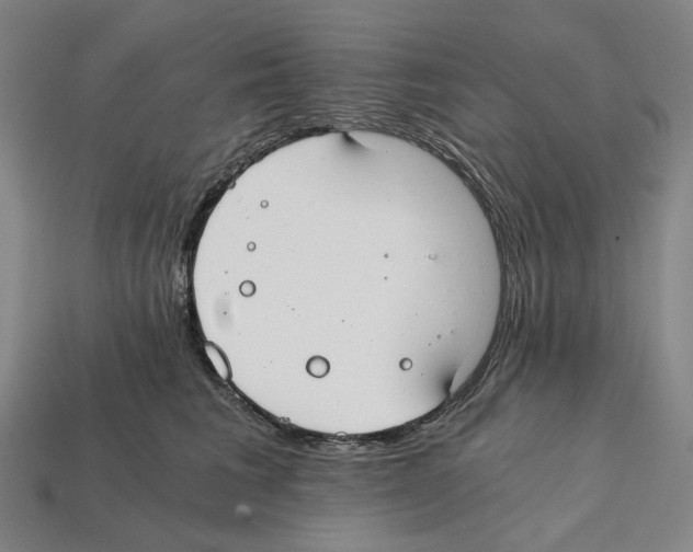 X0000112210613200909181555