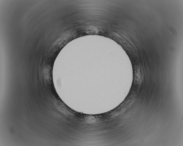 X0000112210616200909181555