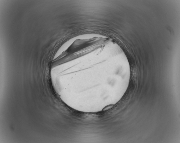 X0000112210617200909181555