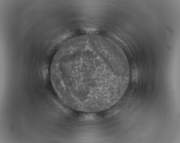 X0000112210618200909181555