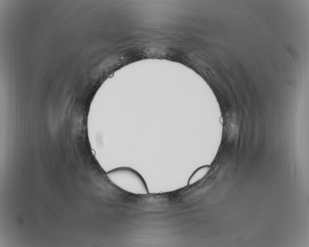 X0000112210619200909181555
