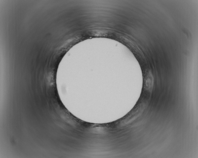 X0000112210620200909181555