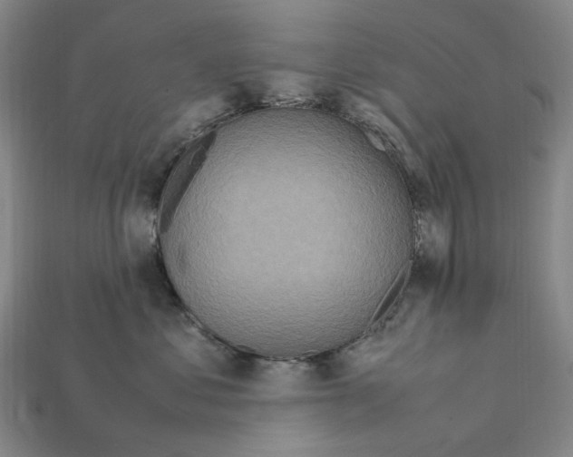 X0000112210621200909181555