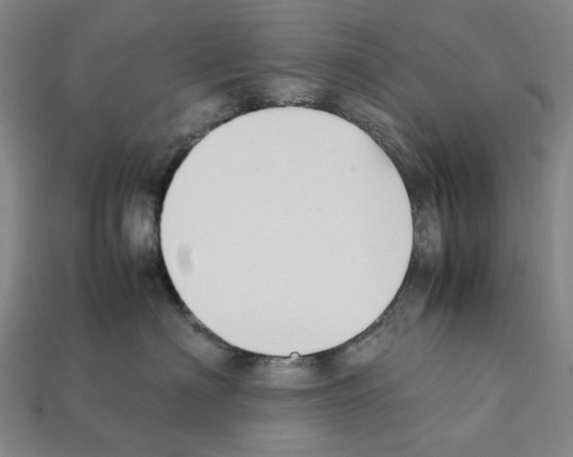 X0000112210622200909181555
