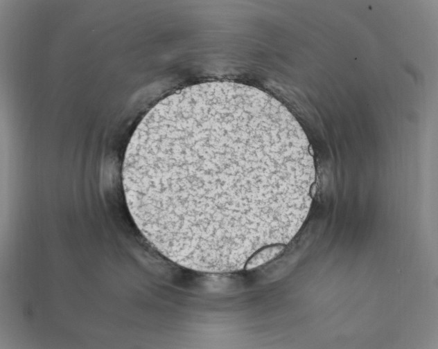 X0000112210623200909181555