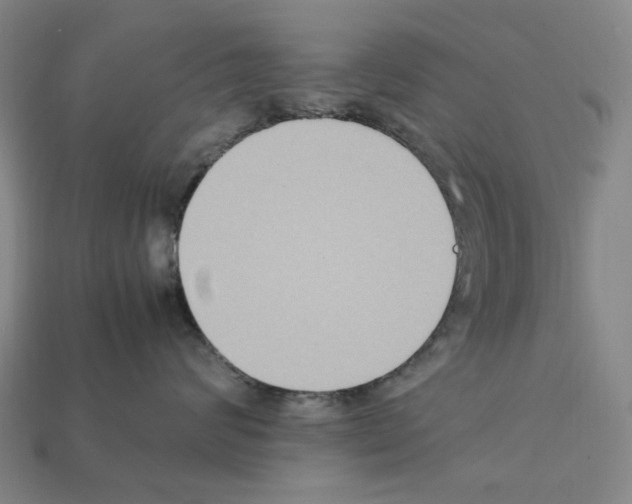 X0000112210624200909181555
