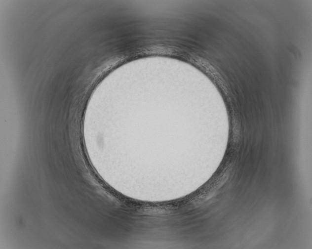 X0000112210625200909181554