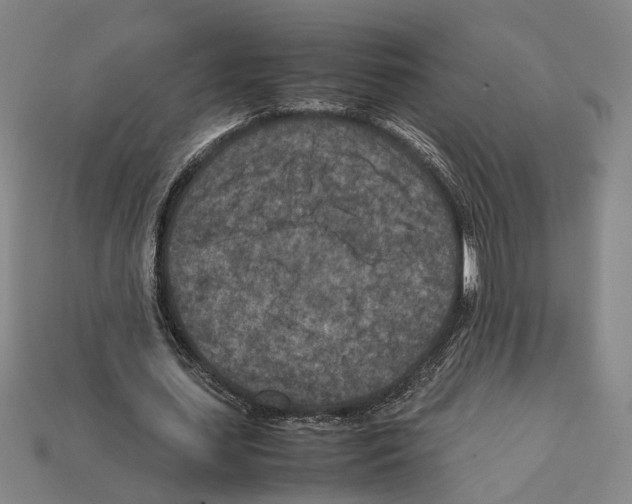 X0000112210627200909181554