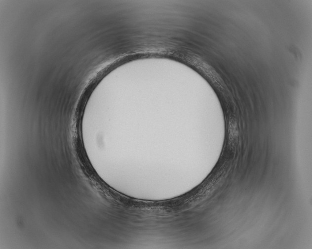 X0000112210628200909181554