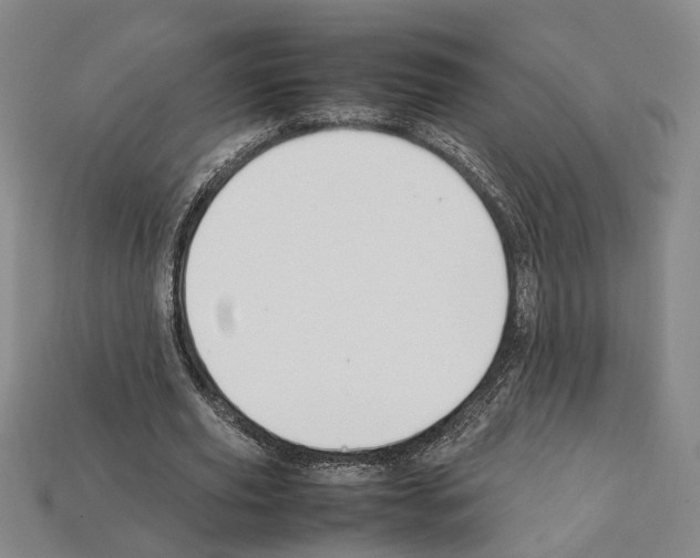 X0000112210629200909181554