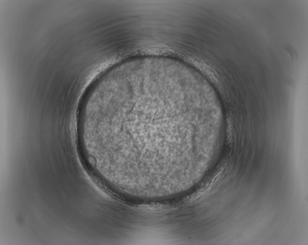 X0000112210630200909181554