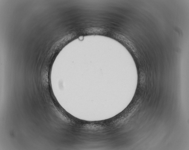 X0000112210633200909181554