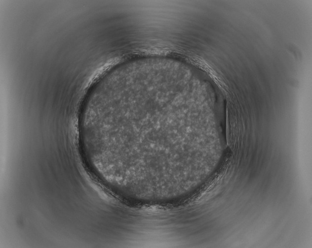 X0000112210634200909181554