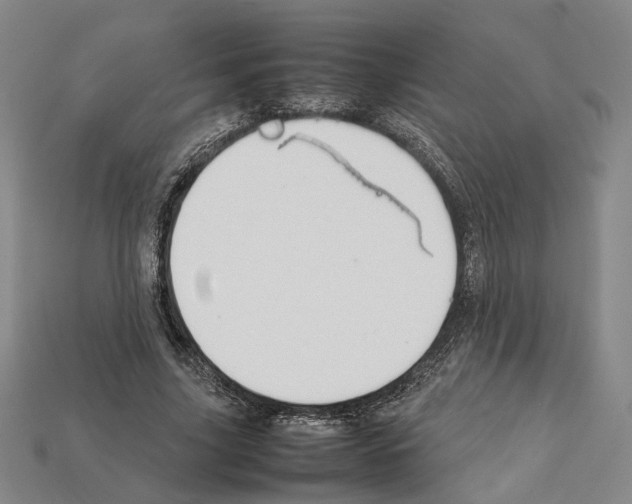 X0000112210635200909181554