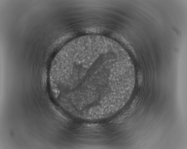 X0000112210637200909181554