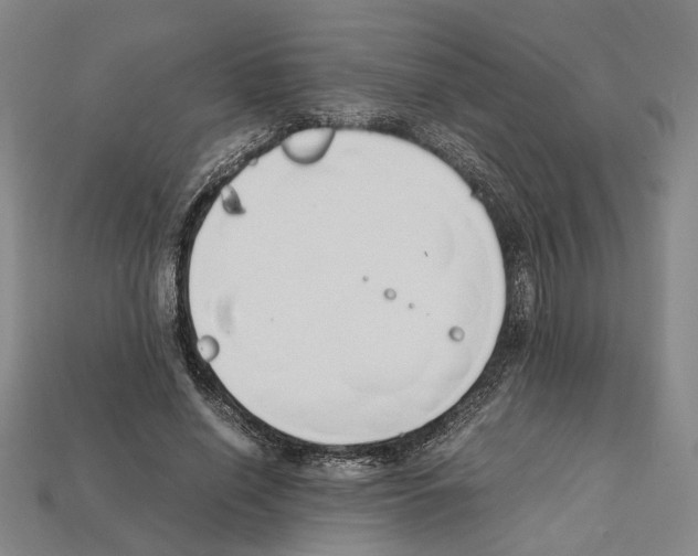 X0000112210638200909181554