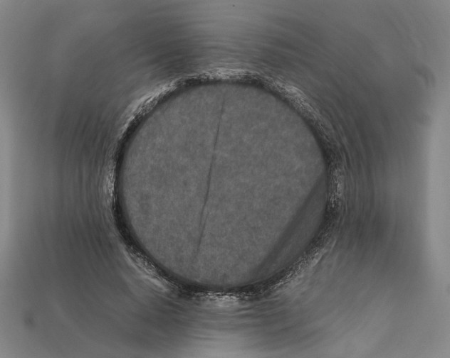 X0000112210640200909181554