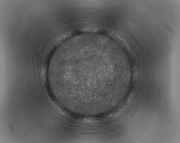 X0000112210641200909181554