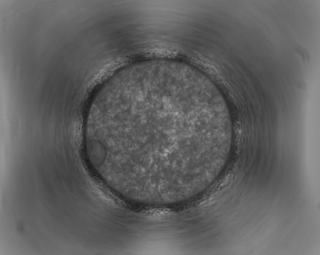 X0000112210642200909181554