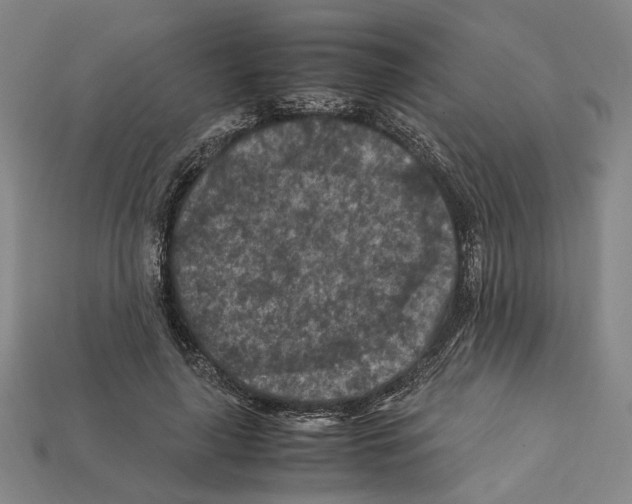 X0000112210643200909181554
