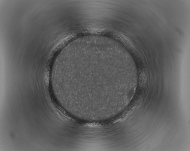 X0000112210644200909181554