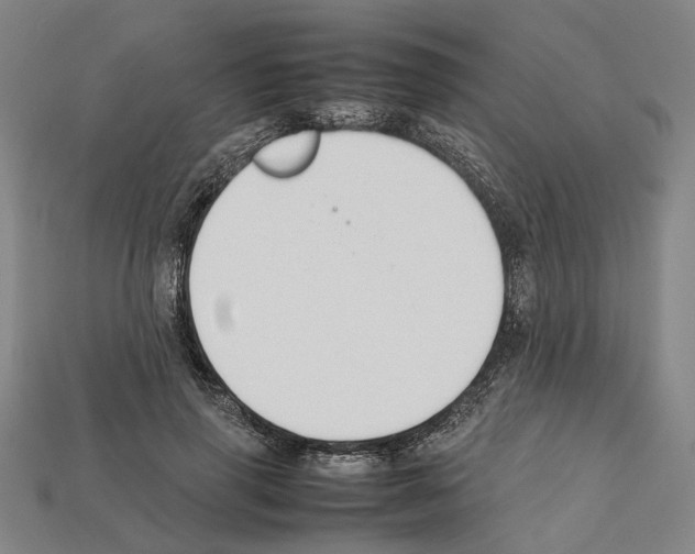 X0000112210645200909181554