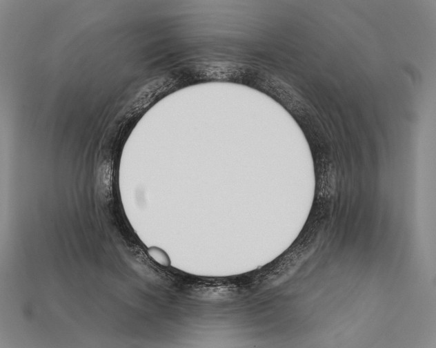 X0000112210646200909181554