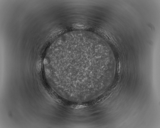 X0000112210647200909181554