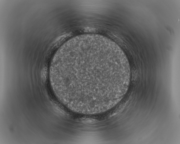 X0000112210648200909181554