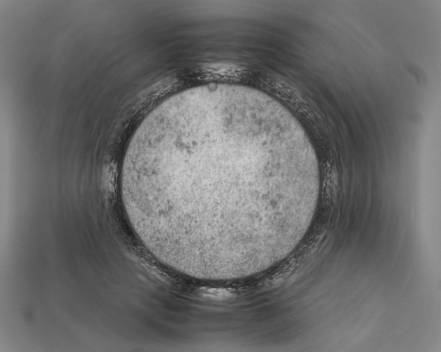 X0000112210649200909181554