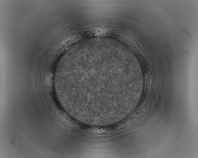 X0000112210650200909181554