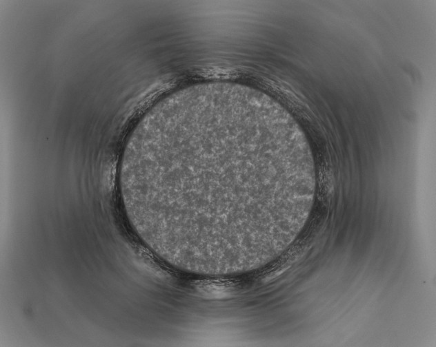 X0000112210652200909181554