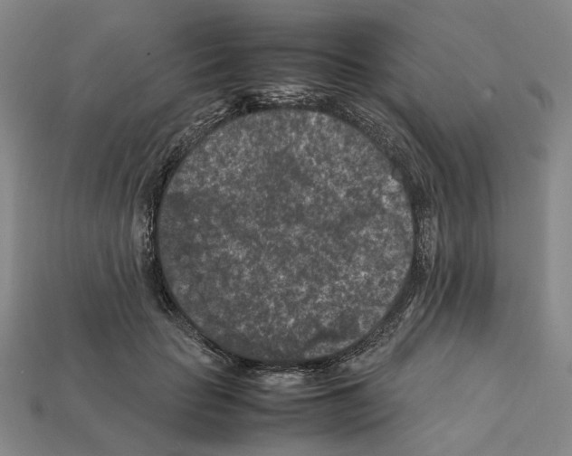 X0000112210653200909181554