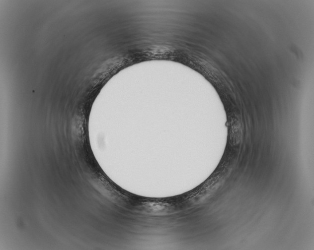X0000112210654200909181554