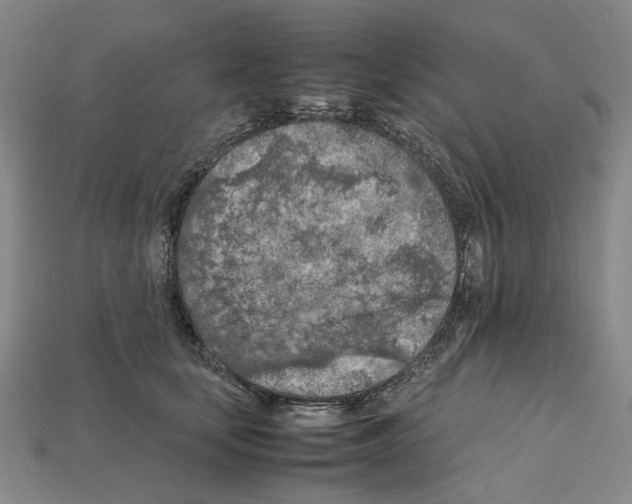X0000112210659200909181555