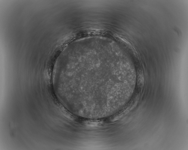 X0000112210661200909181555