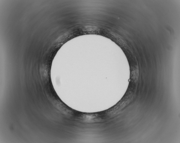X0000112210662200909181555