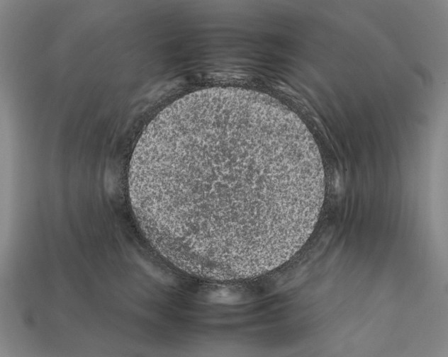 X0000112210663200909181555