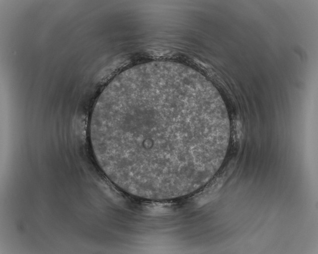 X0000112210664200909181555