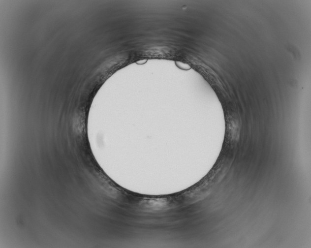 X0000112210665200909181555