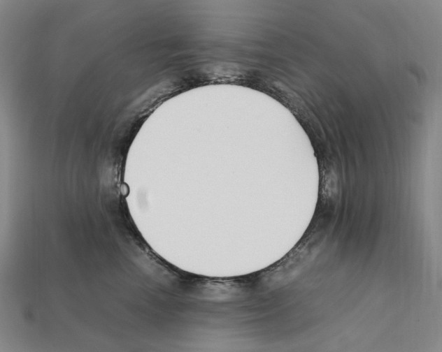 X0000112210666200909181555