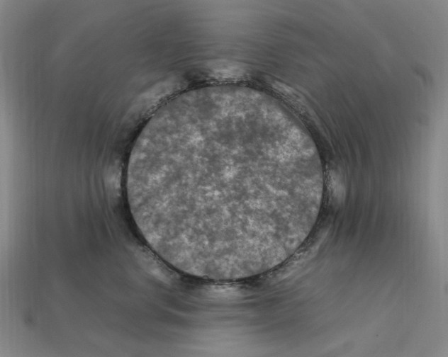 X0000112210668200909181555