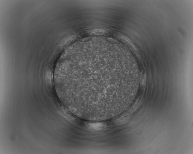 X0000112210669200909181555
