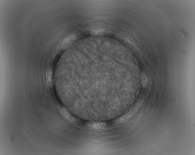 X0000112210670200909181555