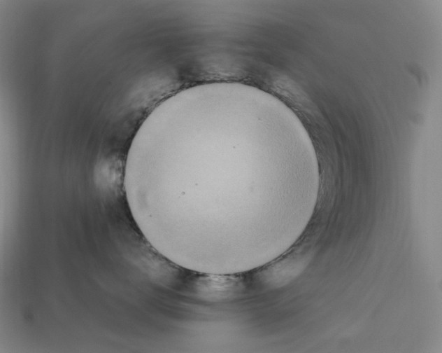 X0000112210672200909181555